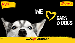 WER311 kyli Banner 250px petzeba